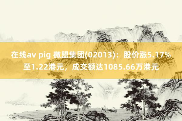 在线av pig 微盟集团(02013)：股价涨5.17%至1.22港元，成交额达1085.66万港元