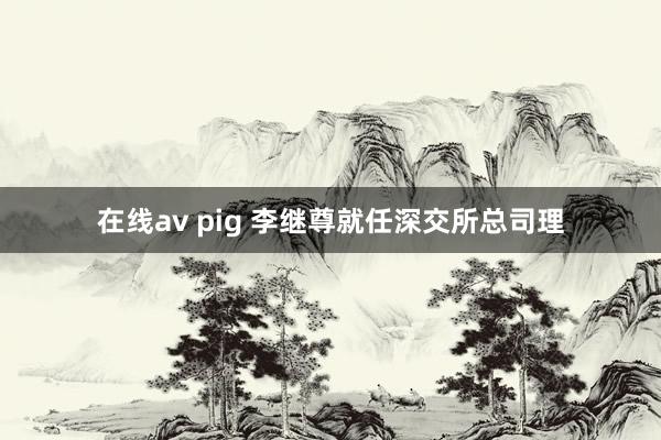 在线av pig 李继尊就任深交所总司理