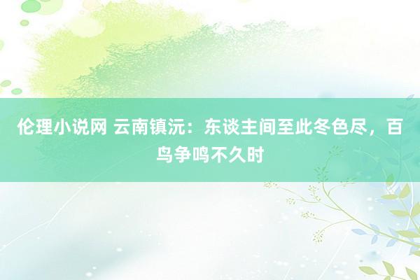 伦理小说网 云南镇沅：东谈主间至此冬色尽，百鸟争鸣不久时