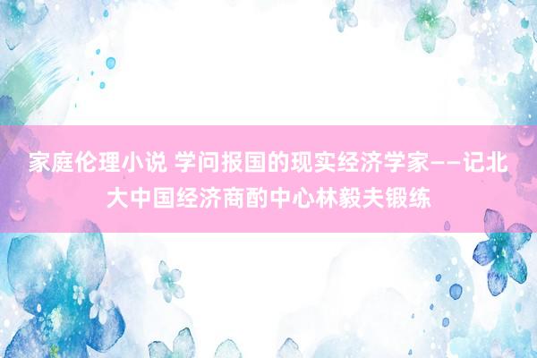 家庭伦理小说 学问报国的现实经济学家——记北大中国经济商酌中心林毅夫锻练