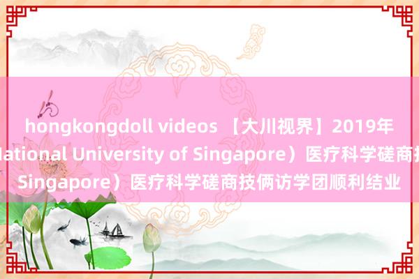 hongkongdoll videos 【大川视界】2019年新加坡国立大学（National University of Singapore）医疗科学磋商技俩访学团顺利结业